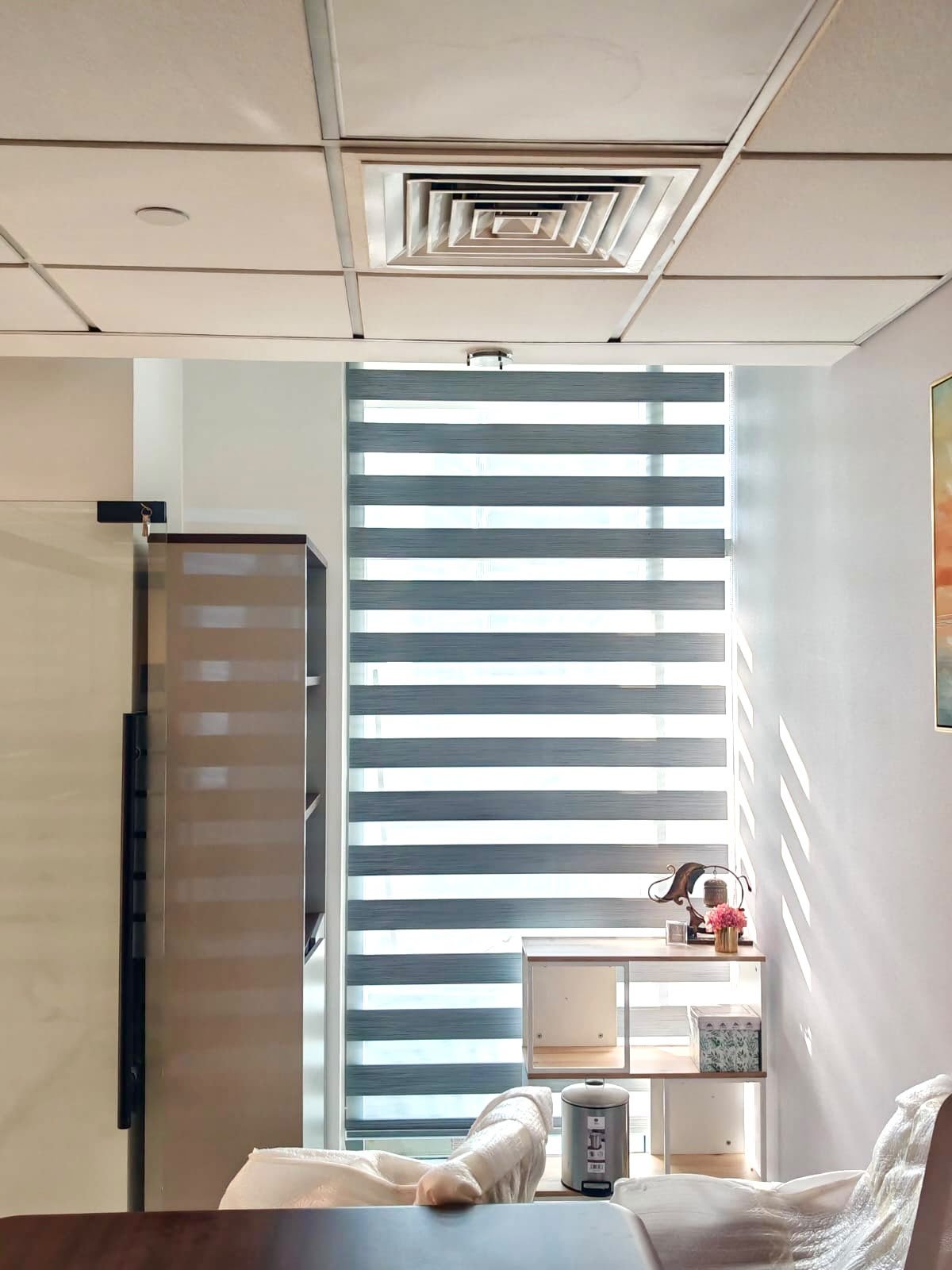 Zebra Blinds